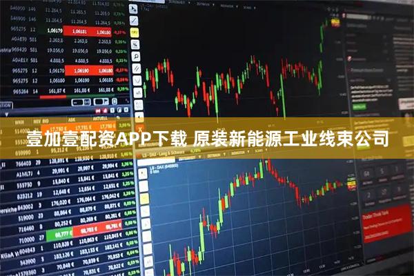 壹加壹配资APP下载 原装新能源工业线束公司