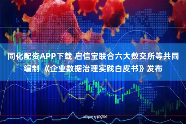 同化配资APP下载 启信宝联合六大数交所等共同编制 《企业数据治理实践白皮书》发布