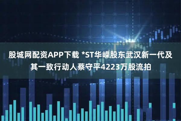 股城网配资APP下载 *ST华嵘股东武汉新一代及其一致行动人蔡守平4223万股流拍