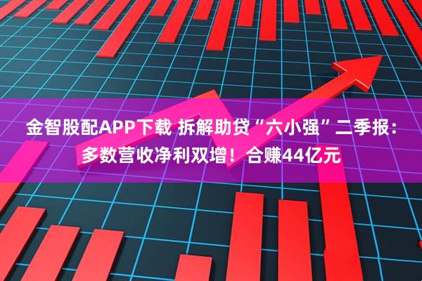 金智股配APP下载 拆解助贷“六小强”二季报：多数营收净利双增！合赚44亿元